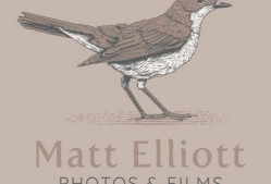Matt Elliott Photos & Films