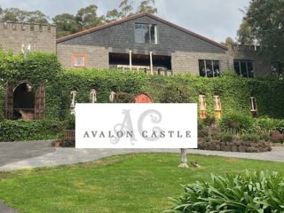 avalon-castle